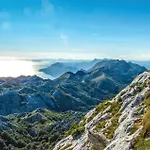 Gorgeous In * Makarská